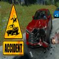 Accident The Pilot中文版
