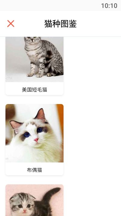 猫猫助手猫语翻译软件图片1