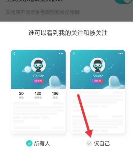 Soul怎么设置仅自己可以看到我的关注和被关注[多图]图片4