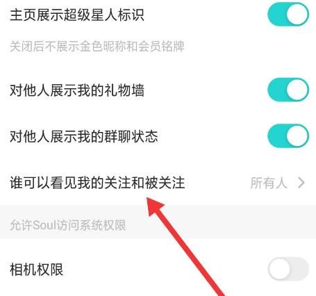 Soul怎么设置仅自己可以看到我的关注和被关注[多图]图片3