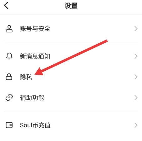 Soul怎么设置仅自己可以看到我的关注和被关注[多图]图片2