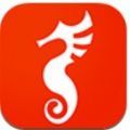 海马资讯官方平台app v1.0