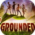 禁闭求生游戏中文免费版（Grounded） v1.0
