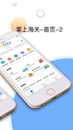 掌上海关app图2