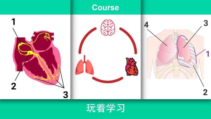 现代医疗模拟器中文免费手机版最新图片1