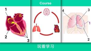 现代医疗模拟器中文免费手机版最新图片1