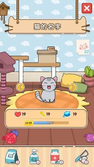 猫咪庭院物语游戏图3