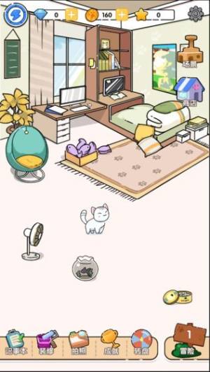 猫咪庭院物语游戏中文汉化版图片1