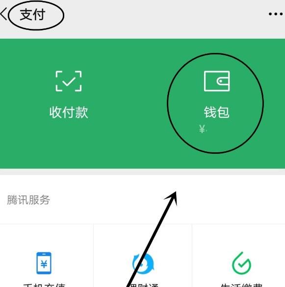 微信如何查看零钱通账户余额明细[多图]图片3