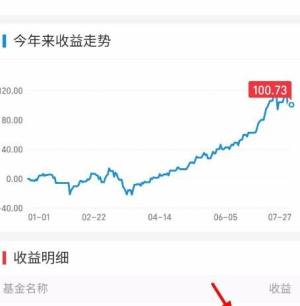 支付宝基金怎么查看收益情况图片6