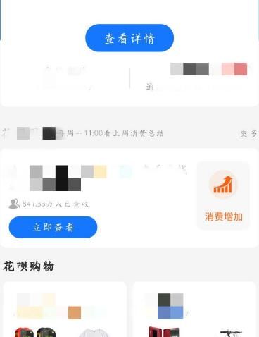 如何查看支付宝花呗是否已被纳入征信系统[多图]图片4