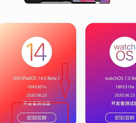 苹果手机怎么升级到iOS14系统[多图]