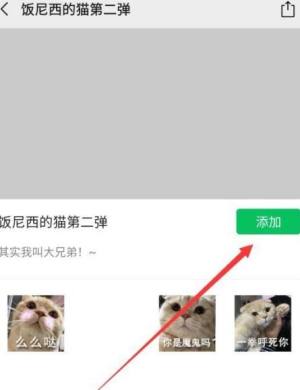 微信如何获得猫咪表情包图片5