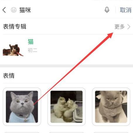 微信如何获得猫咪表情包[多图]