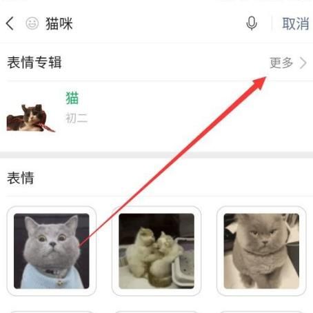 微信如何获得猫咪表情包[多图]图片4