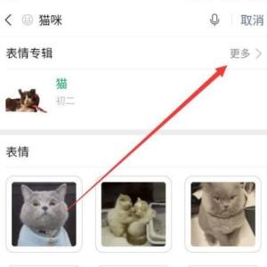 微信如何获得猫咪表情包图片4