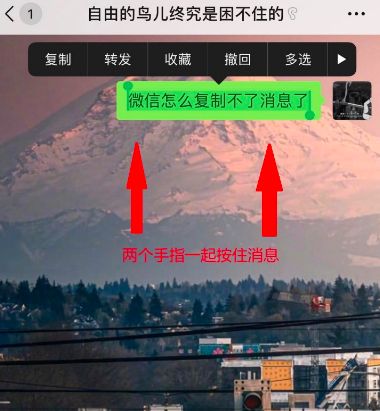 iOS14微信怎么复制粘贴消息[多图]图片3