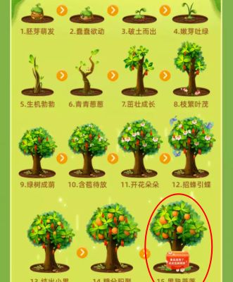 支付宝芭芭农场攻略：怎么种果树得免费水果[多图]图片8