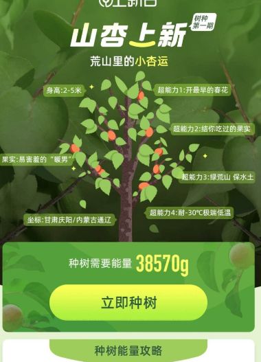 支付宝杏树在哪里蚂蚁森林怎样种杏树
