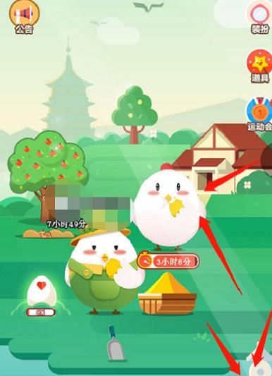 支付宝蚂蚁庄园小鸡如何获取饲料