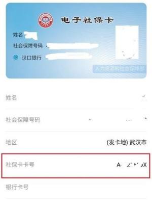 如何查自己的社保卡号图片6