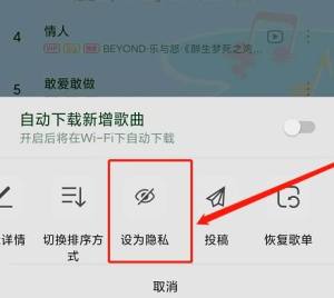 QQ音乐如何设置隐私歌单图片4