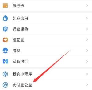 如何开启支付宝公益图片3