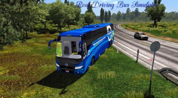 专业巴士模拟器2020游戏官方中文版图片2