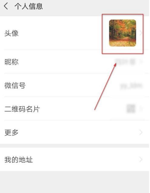 微信头像怎么换成自己的头像[多图]图片8