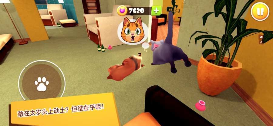CatSimulator猫咪模拟器3D游戏官方安卓版图片1