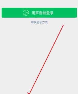 微信申诉没有好友辅助验证怎么办图片1