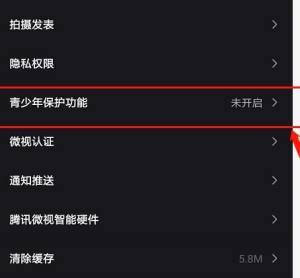 微视如何开启青少年保护功能图片2