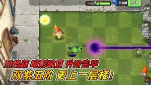 植物大战2官方下载不用阳光最新版图片1