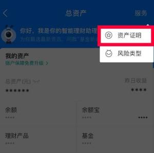 怎么申请支付宝余额资产证明？申请支付宝余额资产证明的方法图片3