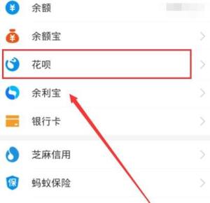 花呗怎么提升额度？花呗额度快充怎么弄图片2