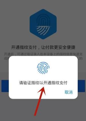 支付宝如何开通指纹支付？支付宝开通指纹支付的方法图片7