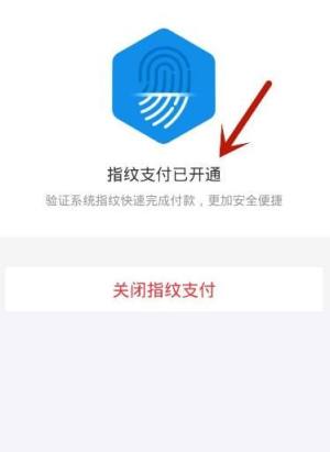 支付宝如何开通指纹支付？支付宝开通指纹支付的方法图片8