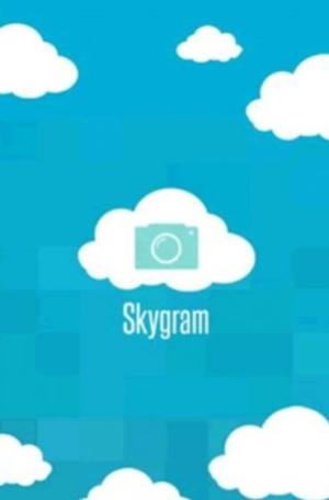 skygram官方版图3