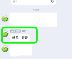 QQ群聊如何设置精华消息？QQ群聊设置精华消息的方法图片2