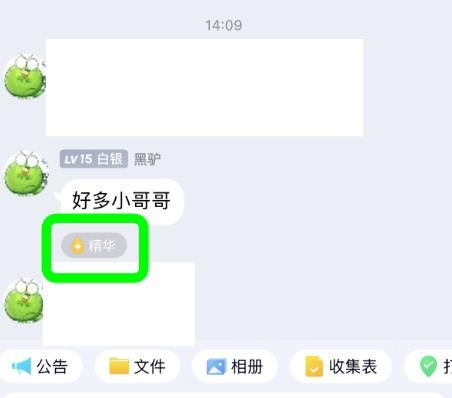 QQ群聊如何设置精华消息？QQ群聊设置精华消息的方法[多图]图片5