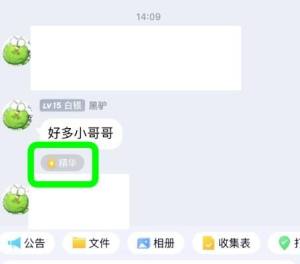 QQ群聊如何设置精华消息？QQ群聊设置精华消息的方法图片5