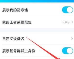 如何设置不给QQ好友看到我的网络状态？如何设置不给QQ好友看到我的网络状态的方法图片5