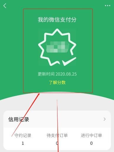 微信版的花呗怎么用？微信版的花呗使用的方法[多图]图片6