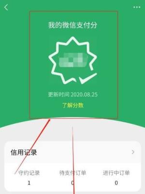 微信版的花呗怎么用？微信版的花呗使用的方法图片6