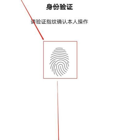 微信版的花呗怎么用？微信版的花呗使用的方法[多图]图片5