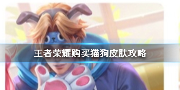 王者荣耀没有大乔孙策怎么买皮肤？猫狗日记购买技巧[多图]