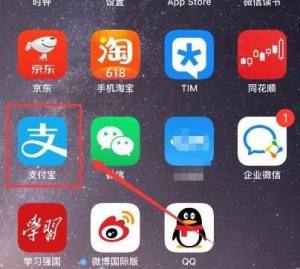 支付宝如何解除信用关系授权？支付宝解除信用关系授权的方法图片1