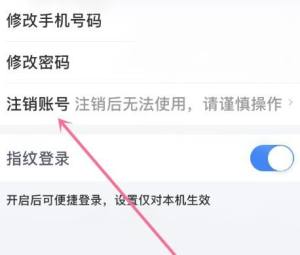 个人所得税账号怎么注销的？个人所得税账号注销的方法图片3