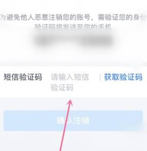 个人所得税账号怎么注销的？个人所得税账号注销的方法图片5