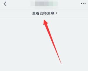 钉钉群怎么筛选查看老师发的消息？钉钉筛选查看老师发的消息的方法图片2